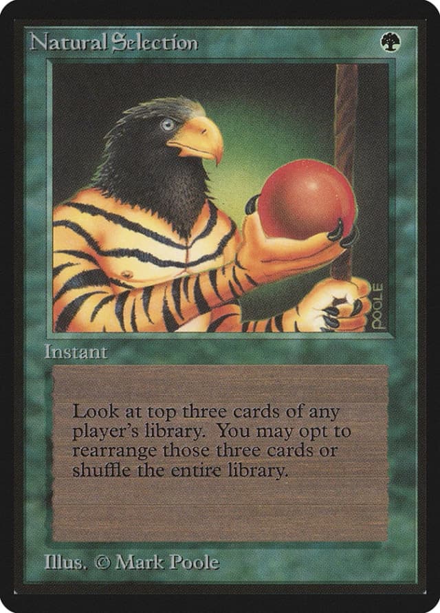 Natural Selection image
