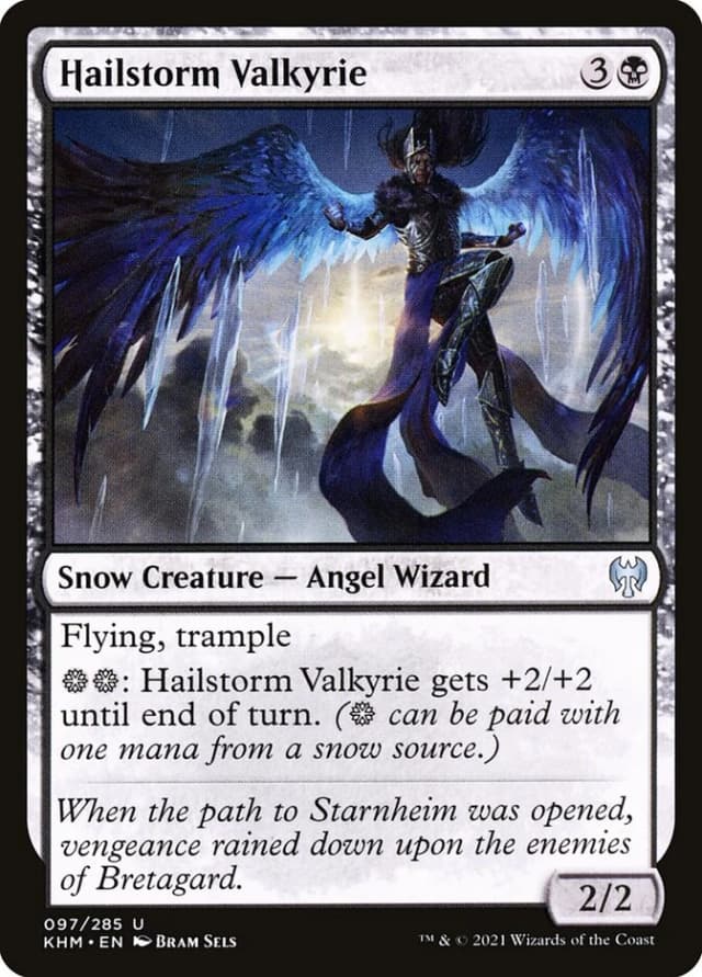 Hailstorm Valkyrie image