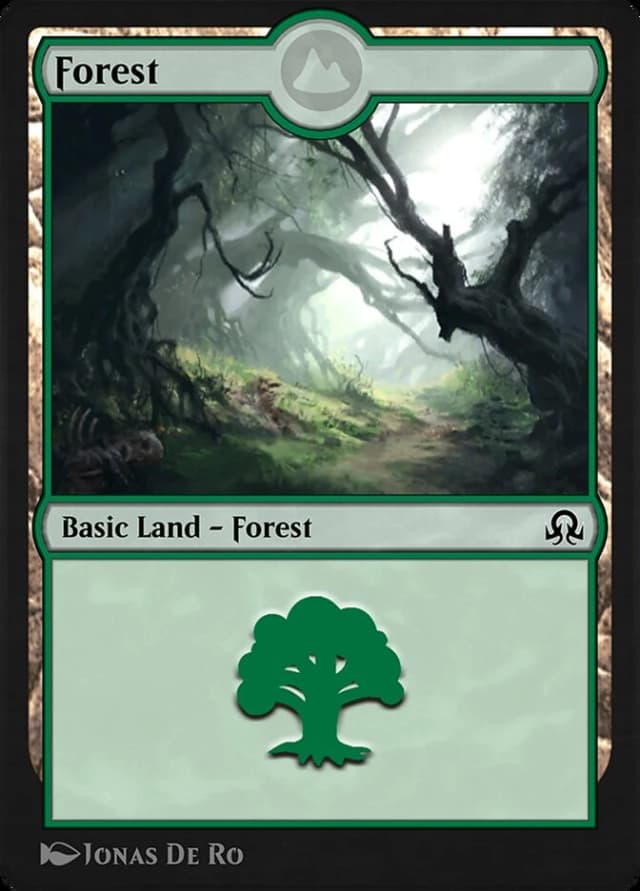 Forest image