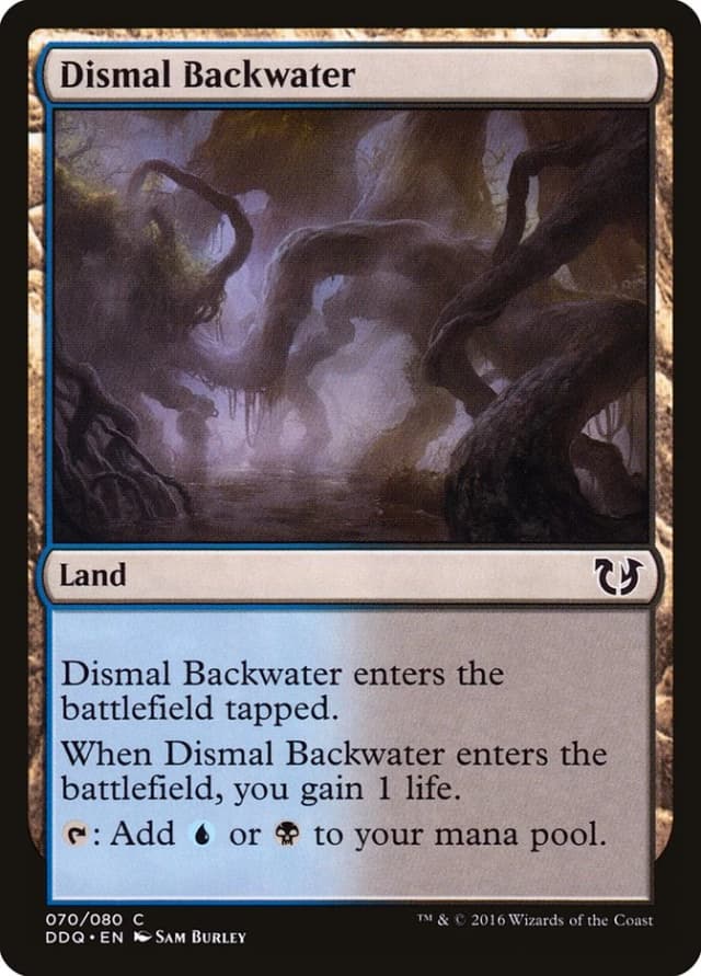 Dismal Backwater image