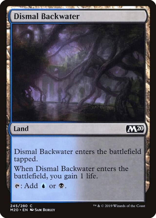 Dismal Backwater image