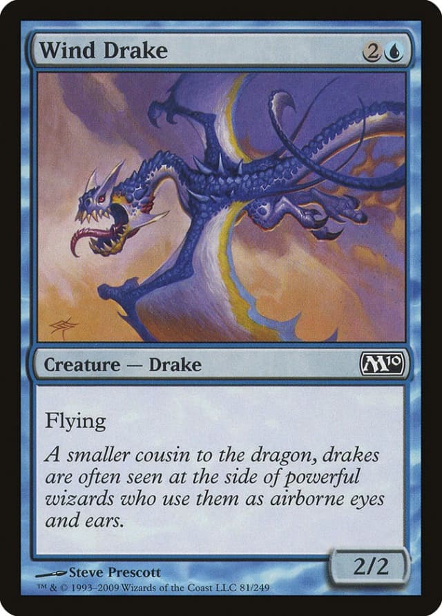 Wind Drake image
