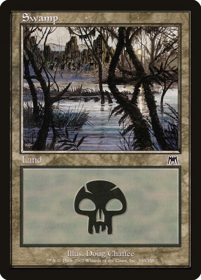 Swamp image