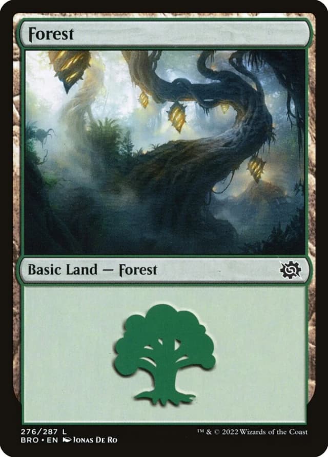 Forest image