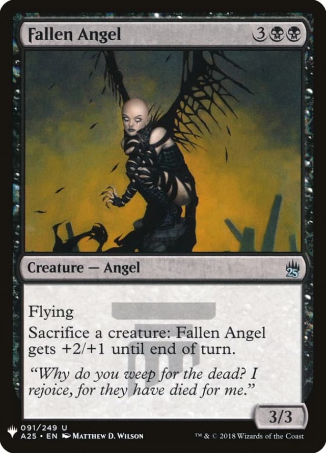 Fallen Angel image