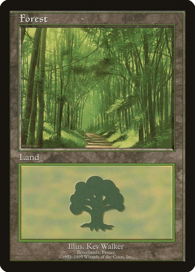 Forest image
