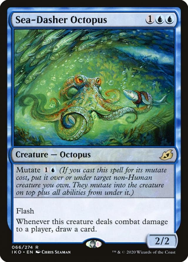 Sea-Dasher Octopus image