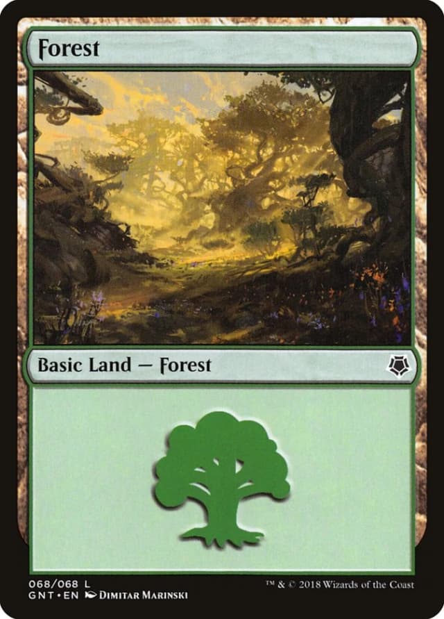 Forest image