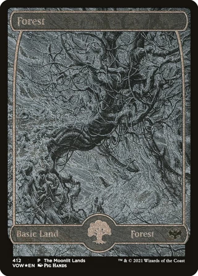 Forest image