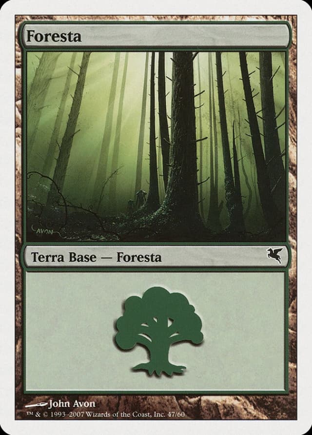 Forest image