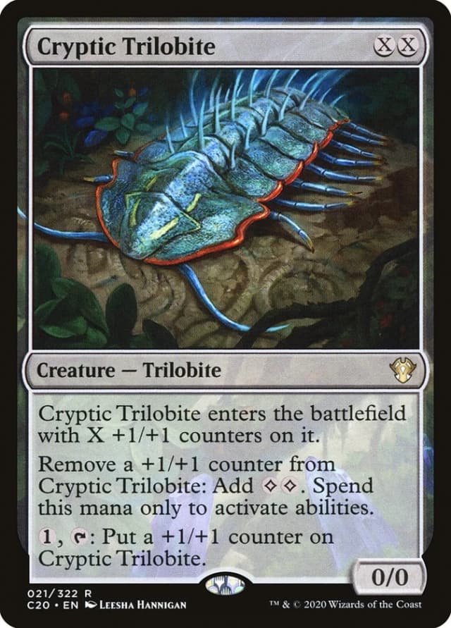 Cryptic Trilobite image