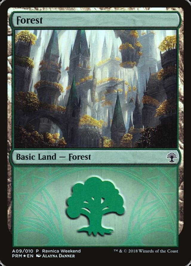 Forest image