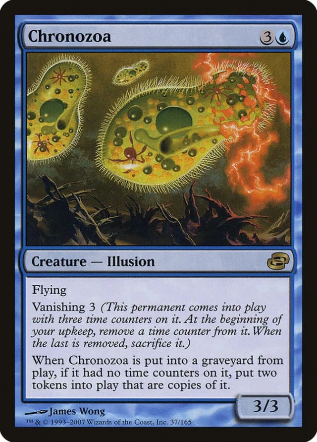 Chronozoa image