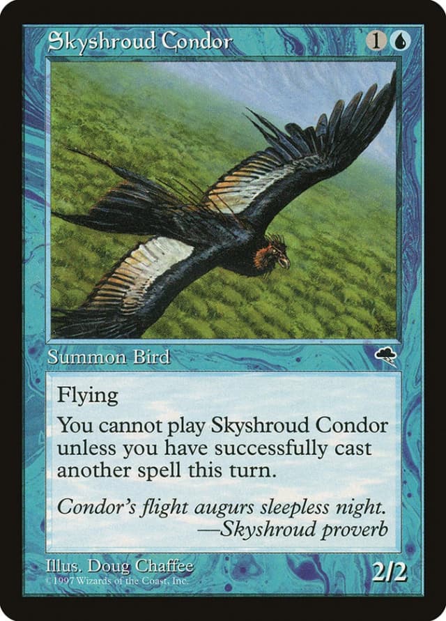 Skyshroud Condor image