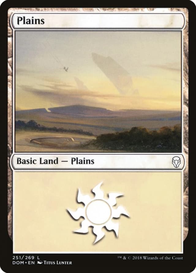 Plains image