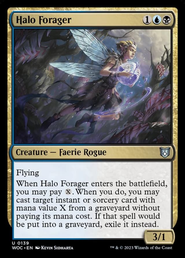Halo Forager image