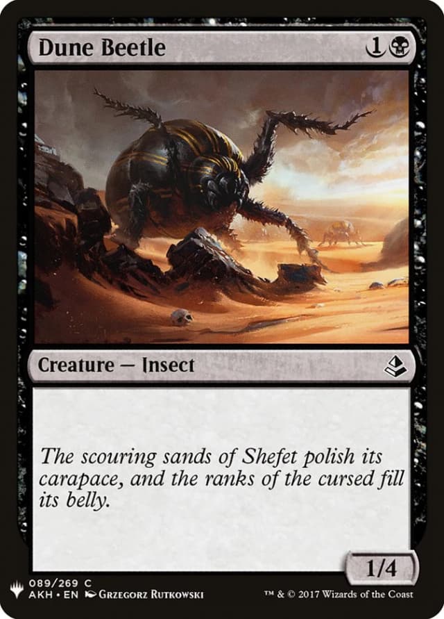 Dune Beetle image