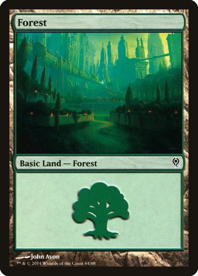Forest image