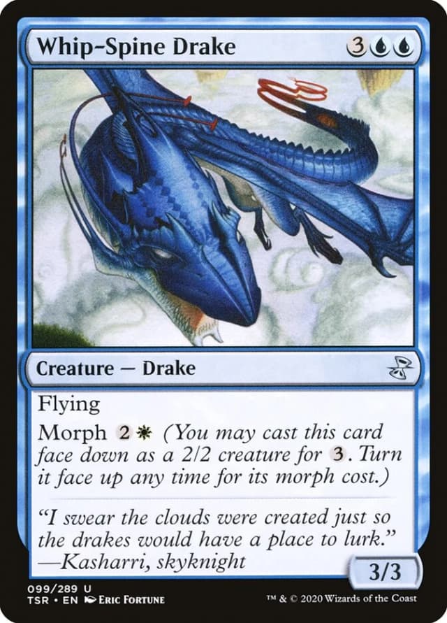 Whip-Spine Drake image