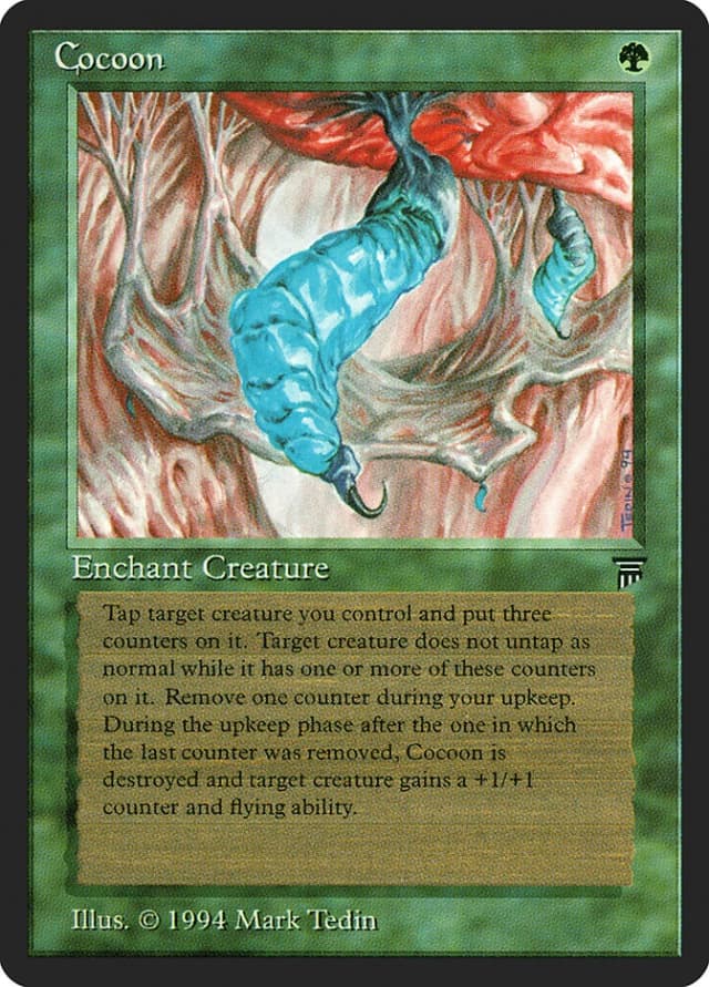Cocoon image