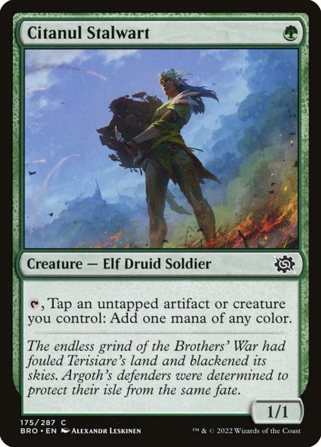 Citanul Stalwart image