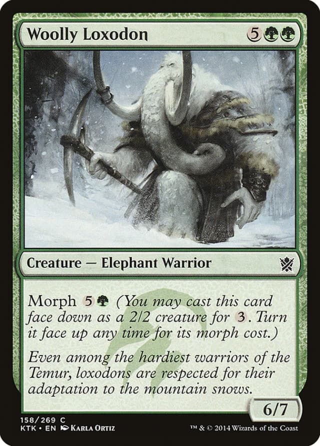 Woolly Loxodon image