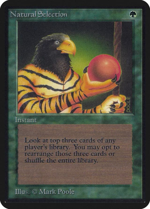Natural Selection image