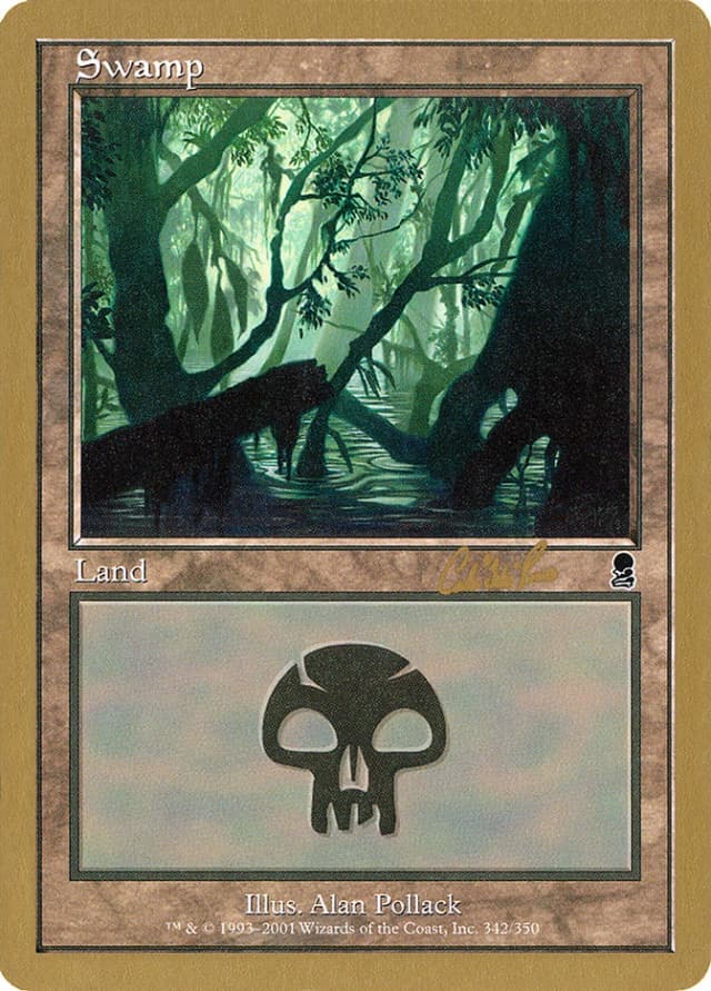 Swamp image