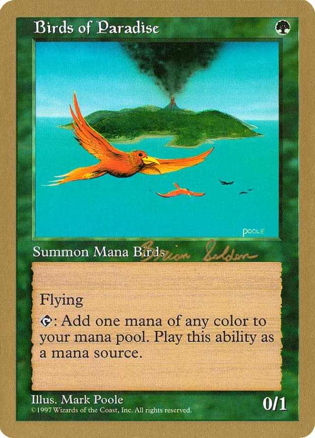 Birds of Paradise image