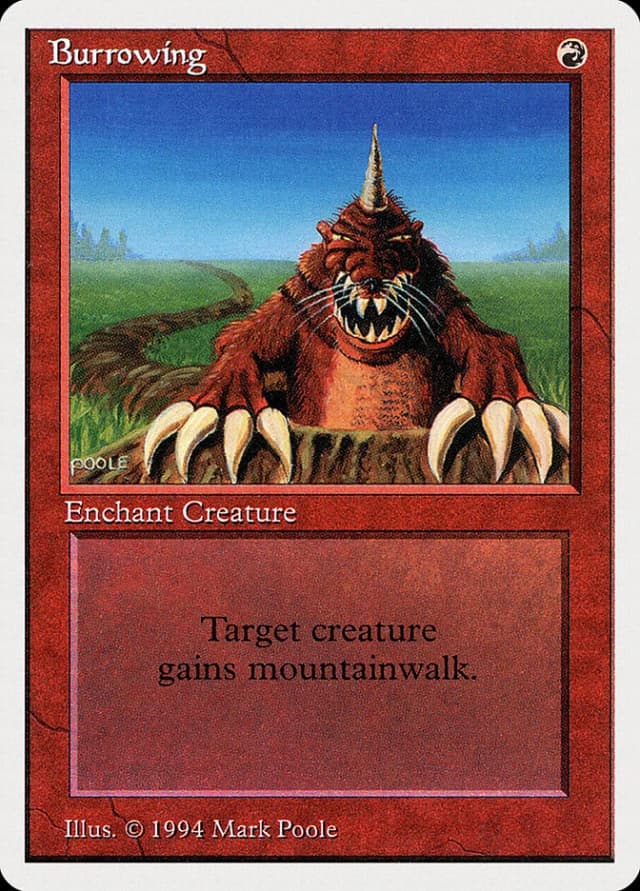 Burrowing image