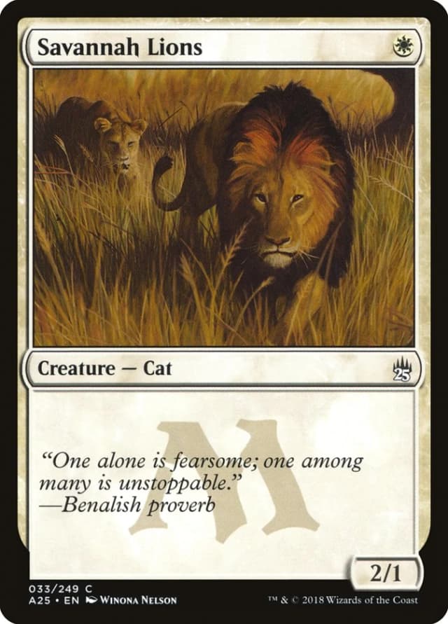 Savannah Lions image