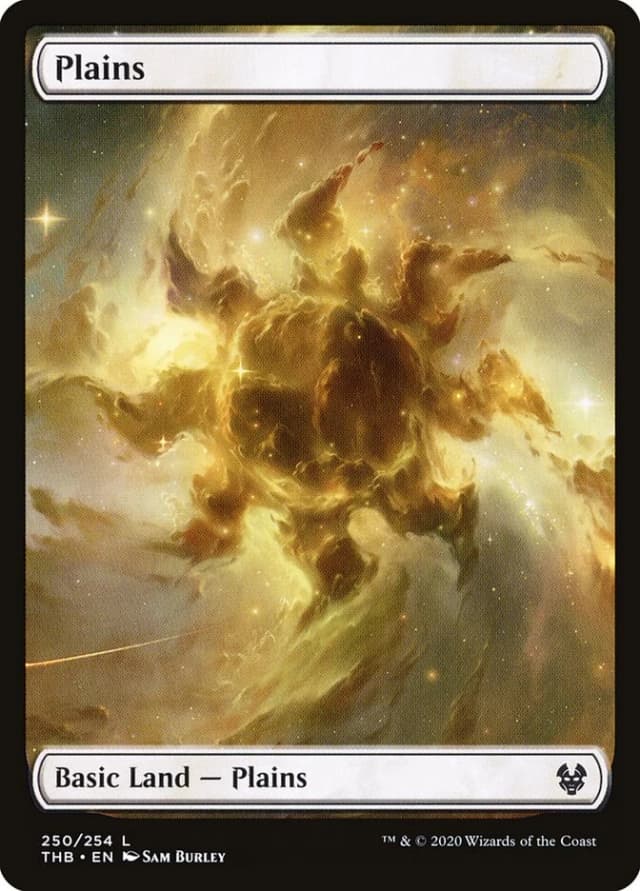 Plains image