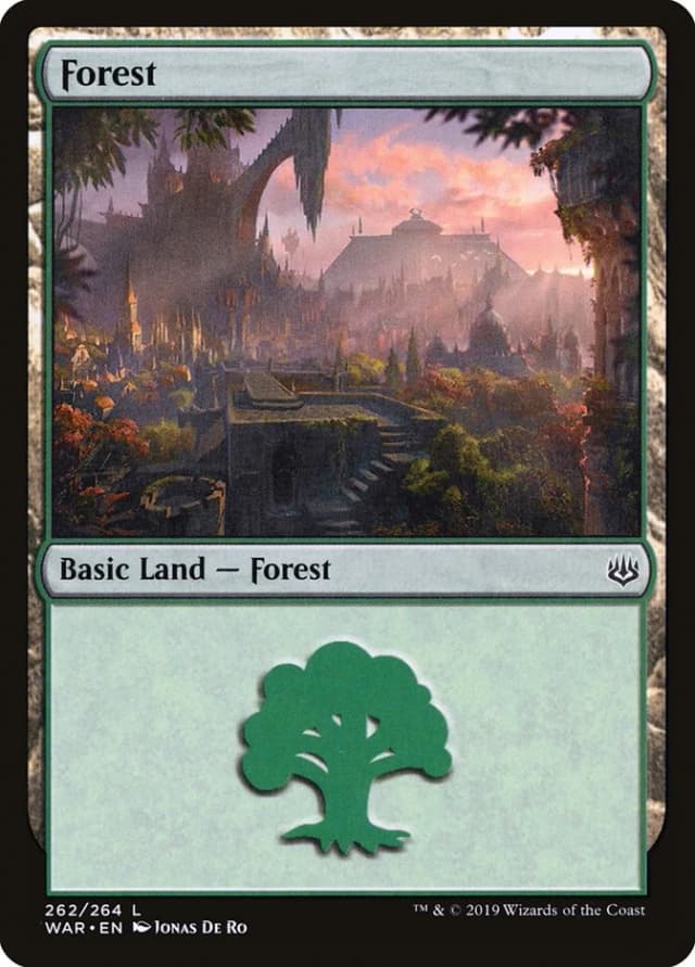 Forest image