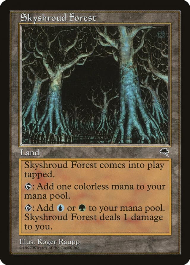 Skyshroud Forest image