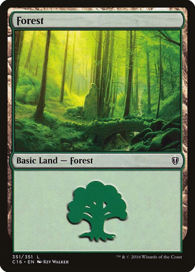 Forest image