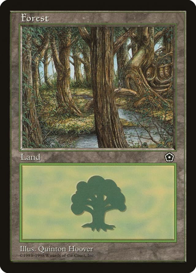 Forest image