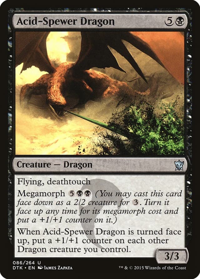Acid-Spewer Dragon image