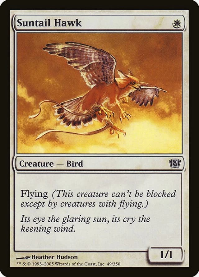 Suntail Hawk image