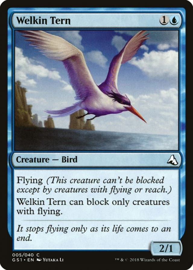 Welkin Tern image