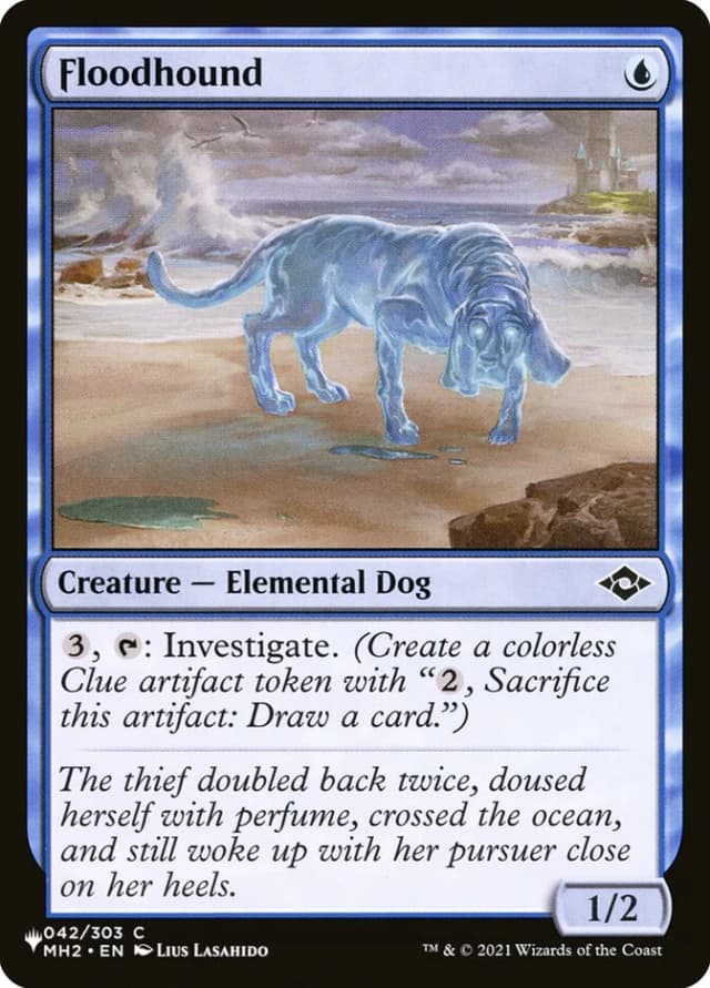 Floodhound image