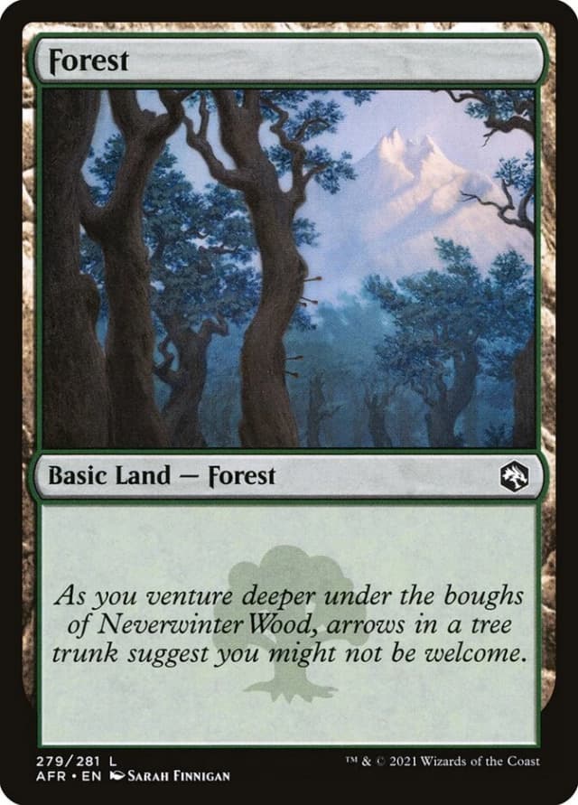 Forest image