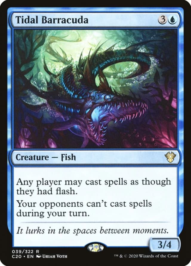 Tidal Barracuda image