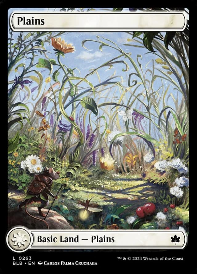 Plains image