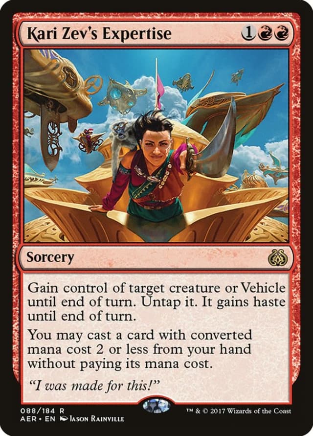 Kari Zev's Expertise image