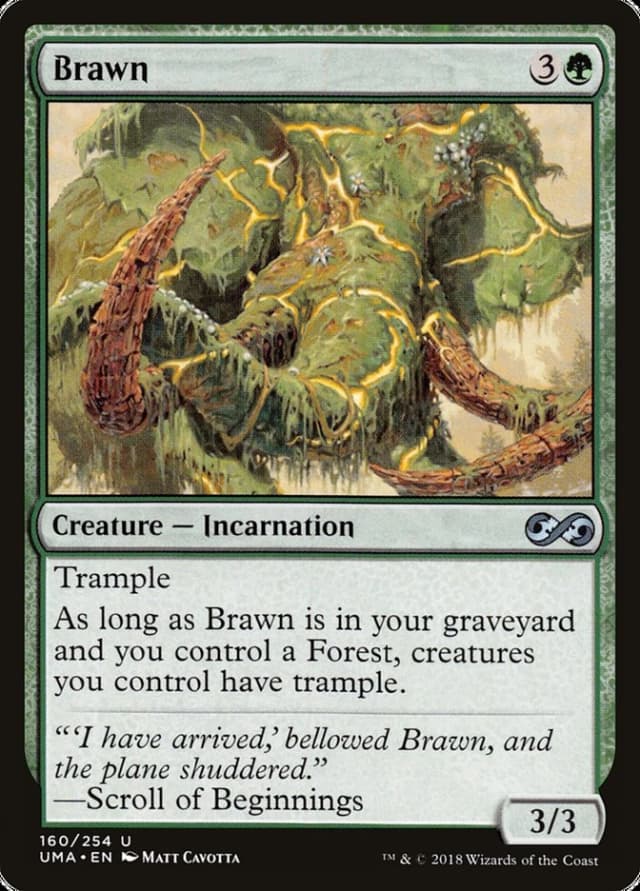 Brawn image