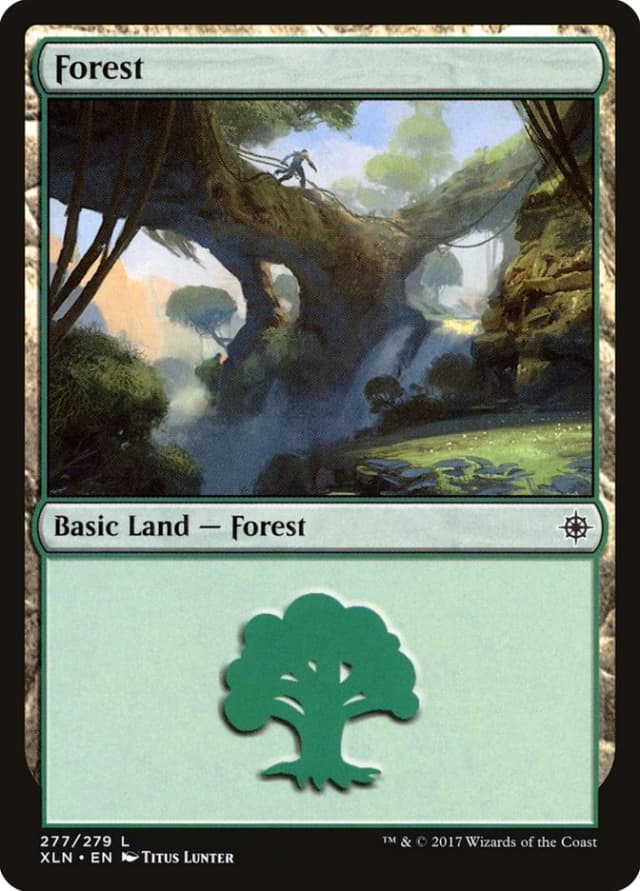 Forest image