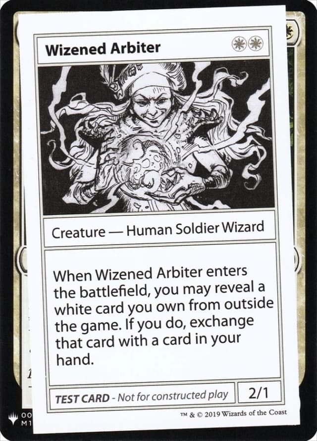 Wizened Arbiter image