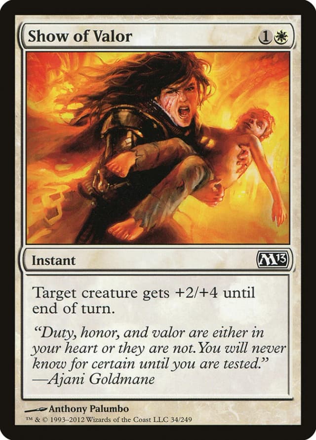 Show of Valor image