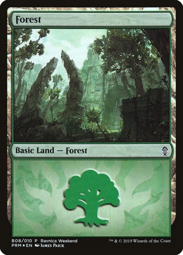 Forest image