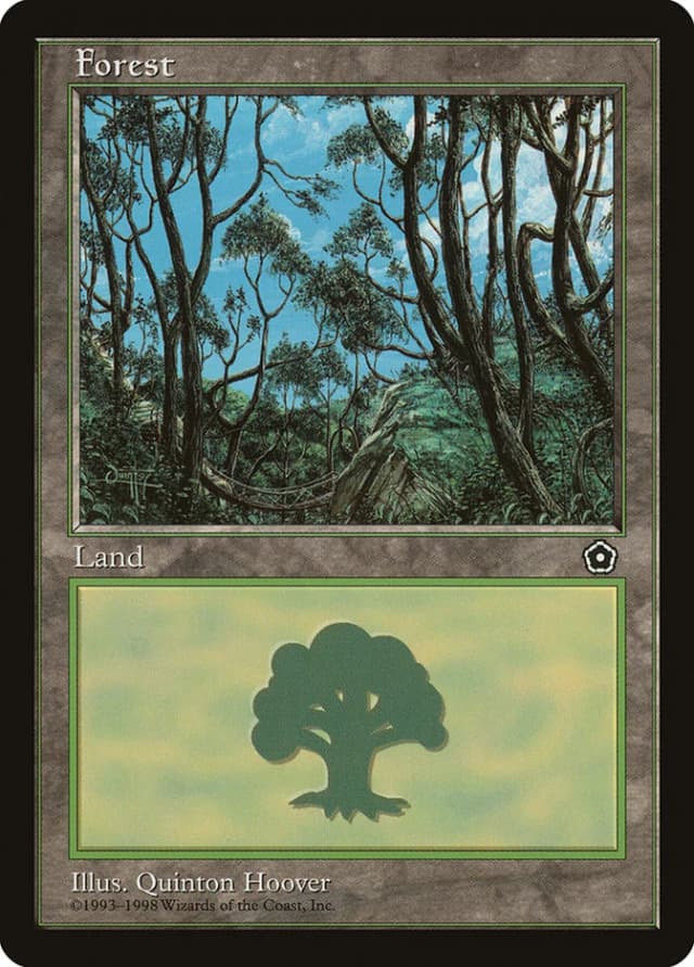 Forest image